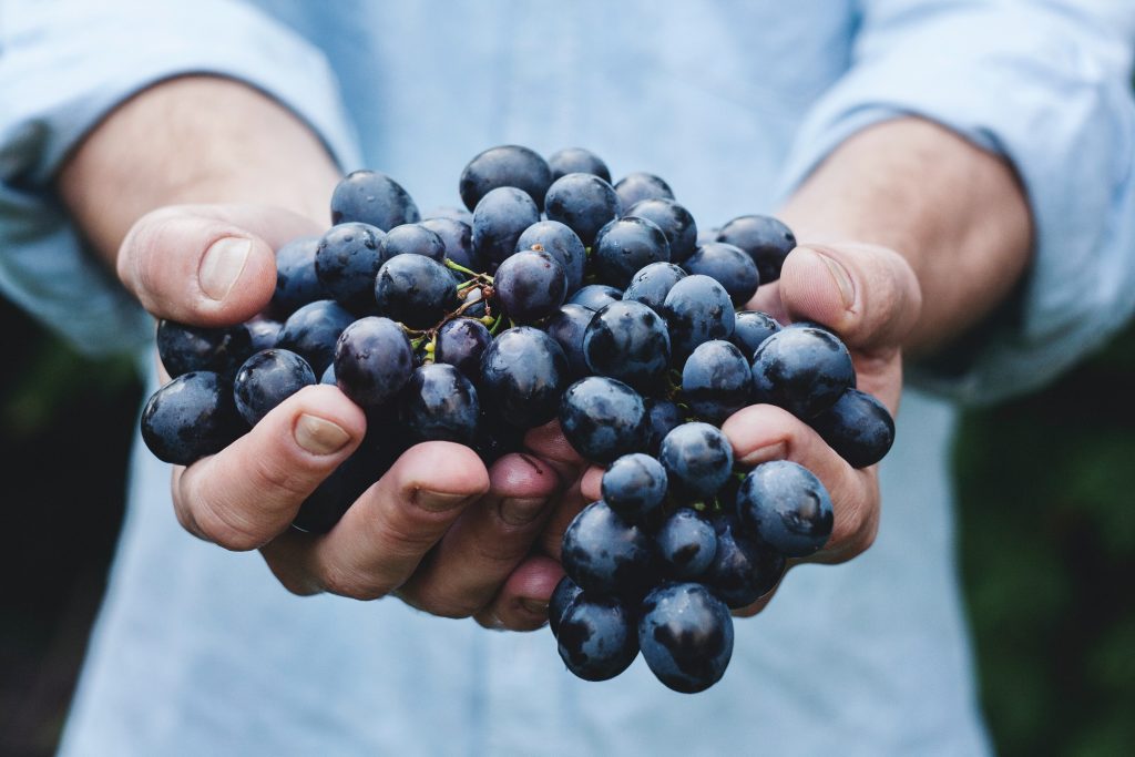 What is quercetin?