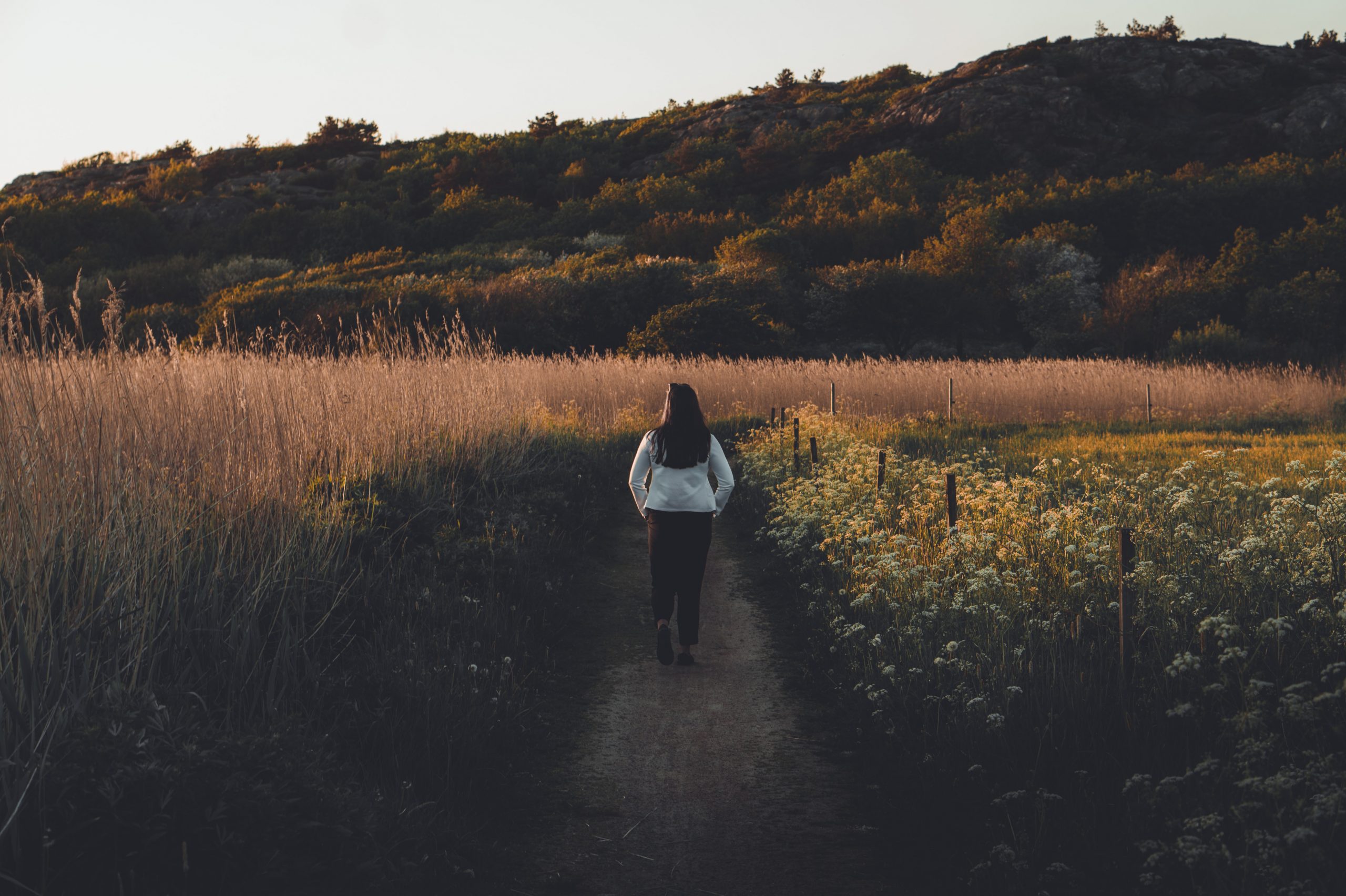 Health benefits of walking